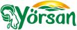YÖRSAN